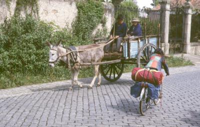 Portugal: travelling in donkey carts still widespread in rural areas