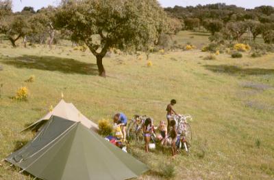 Portugal: Peaceful and quiet camping in corktree valleys