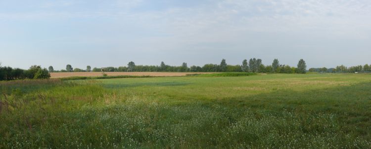 The landscape in the eastern part of Germany is dominated by wide open fields with onlt small villages or towns