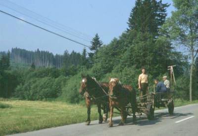 Slovakia: Work on collective farms was very often in a traditional relaxed way.