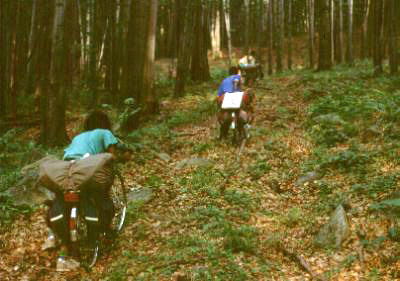 Czecho-Slovakia: This plodding in the Vihorlat ended when we heard automatic gun-fires, a military training field