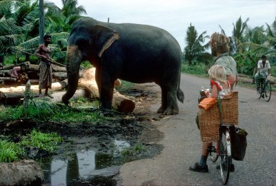 The first elephant she met, she wanted to shake his trunk