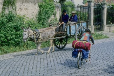 Portugal: travelling in donkey carts still widespread in rural areas