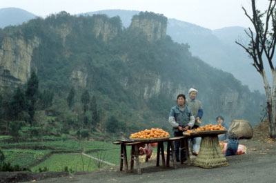 Every orange or mandarin was separately packed in plastic, causing huge amounts of rubbish