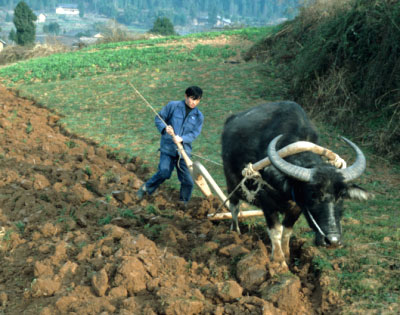 the state owns all the land, but farmers are mostly private and not organized in kolchoses