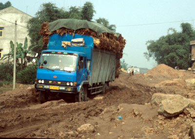 Sometimes roads with little traffic turn out to be pools of mud