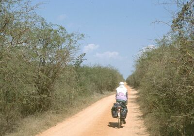 No traffic, no people only low forest and the sound of the ocean