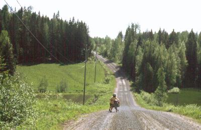 Finland: very steep, slippery gravel roads forced us to push