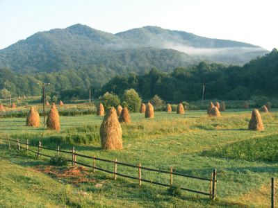 Hay on stacks in a soft morning sunshine in the Carpathian mountains