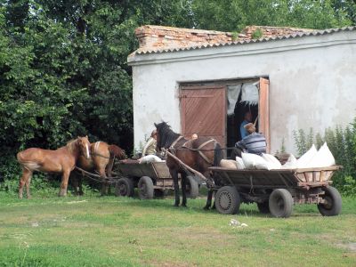 Horse drawn carts are still very much in use, especially for privat products