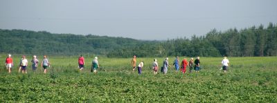 Weeding fields of several square km must take years to finish?