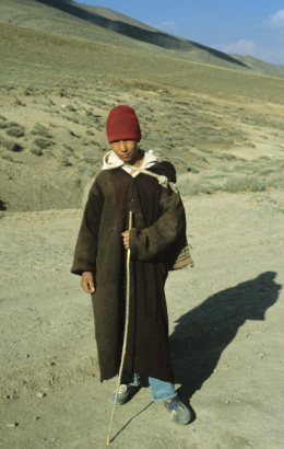 A little pastor in the cold windy mountains, but with a good coat as used by pastors