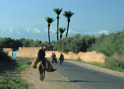 A unusual sight: palmtrees with snowcapped mountains in the background