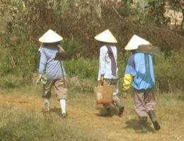 The typical Vietnamese hat is still very much used, but not all in adjecent countries