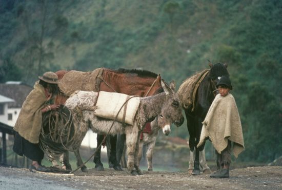 A romantic look in Ecuador but a very poor and harsh life for the mother and her son