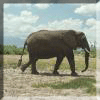 part 4: Eastern and Southern Africa